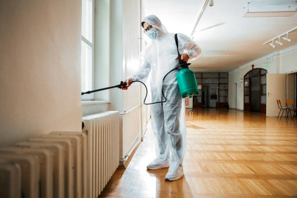 Emergency Pest Control in Macdonnell Heights, NY